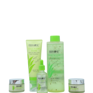 Алоетой Арьс арчилгааны багц